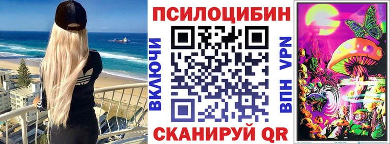 Галлюциногенные грибы Psilocybe Купить закладки Печора